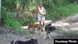 Ana Alfonso carga a diario cubos de agua.