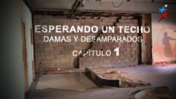 Esperando un techo: Damas y Desamparados | Capítulo 1