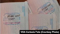 Tres pasaportes cubanos con estampas de Inmigración de parole humanitario, pueden verse en Tampa EEUU, el 21 de diciembre de 2023.