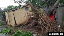 Una vivienda levantada por las raíces de un árbol caído, en Sandino.