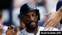 Yandy Díaz, de los Rays de Tampa Bay, es felicitado en el banquillo luego de anotar contra los Guardianes de Cleveland, este, sábado 12 de agosto, en St. Petersburg, Florida (AP/Scott Audette)