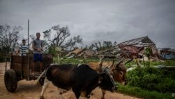 ¿Comprometida la industria tabacalera en Cuba?