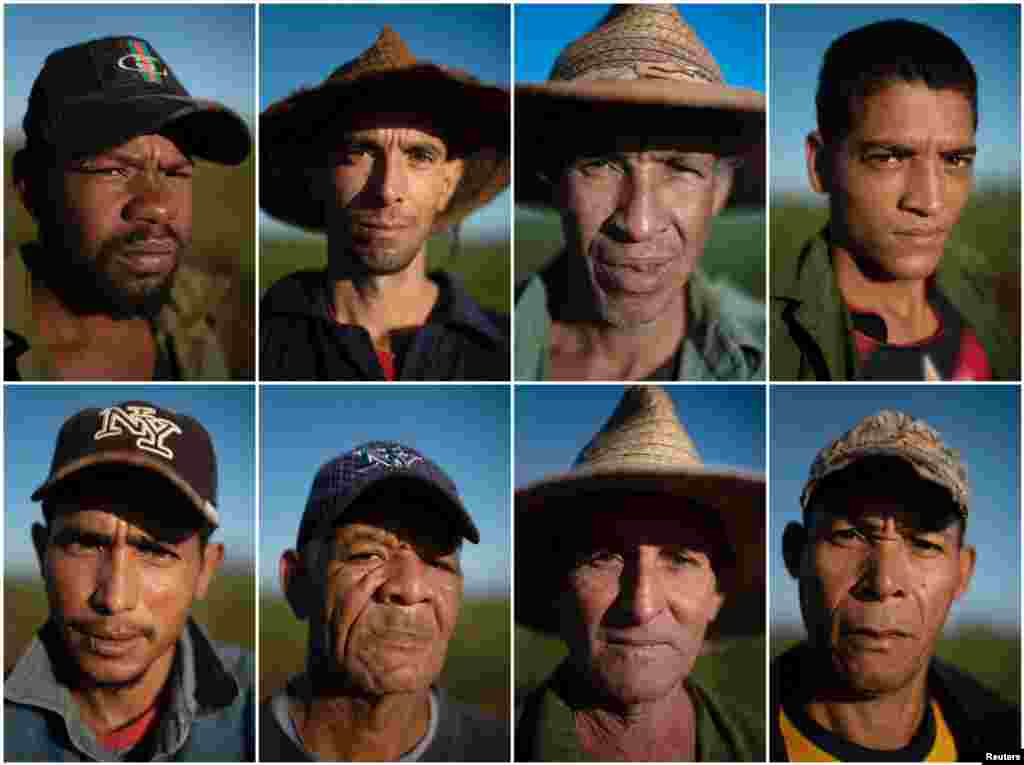 Los campesinos cubanos Lázaro González, Carlos Yopisai, Ebraín Sánchez, Roniel Cordero, Osvel Montero, Lázaro Soto, Jorge Luis González y Luis Súarez. REUTERS/Alexandre Meneghini.