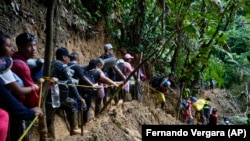 Migrantes cruzan el Tapón del Darién desde Colombia hacia Panamá, con la esperanza de llegar a Estados Unidos, el 15 de octubre de 2022. (AP Foto/Fernando Vergara, Archivo)