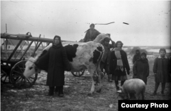 Holodomor en Ucrania, colectivización.