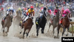 Foto del Kentucky Derby 145, celebrado el pasado año. (Foto Brian Spurlock-USA TODAY Sports)