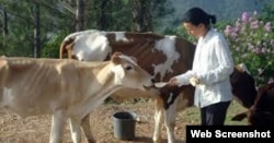 Omara Ruiz Urquiola, en la finca de Viñales donde lleva adelante un proyecto ecológico con su hermano Ariel.