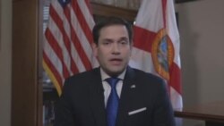 Senador Marco Rubio