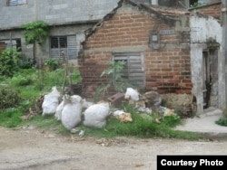 Los sacos de basura se acumulan en una esquina durante días.