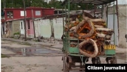 Reporta Cuba. Un coche lleva coronas de flores del cementerio a la funeraria para venderlas a 20 pesos. Foto: Beatriz Borroto.