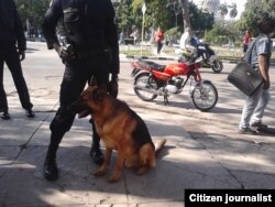 Red Cubana de Comunicadores / foto-reportaje de Juliet Michelena