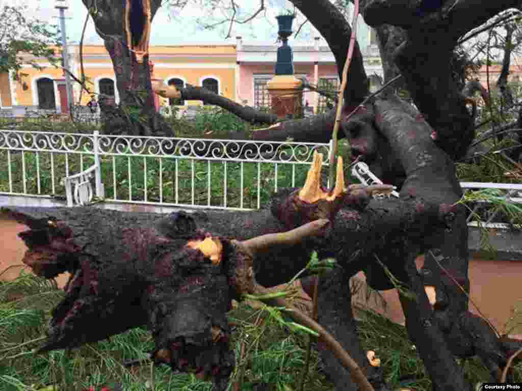 Serias afectaciones causó el huracán Irma a su paso por el municipio Remedios, Villa Clara. Foto cortesía de H. Vela WPLG-TV.