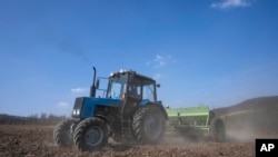 Trabajo agrícola en el oeste de Ucrania, el 26 de marzo de 2022. (AP Photo/Nariman El-Mofty).