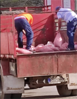 En este camión transportan bolsas de picadillo de tripas.