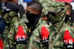 Miembros del ELN.