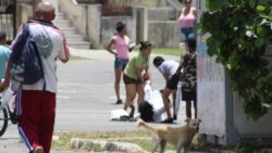 Arresto de la Dama de Blanco Berta Soler en La Habana