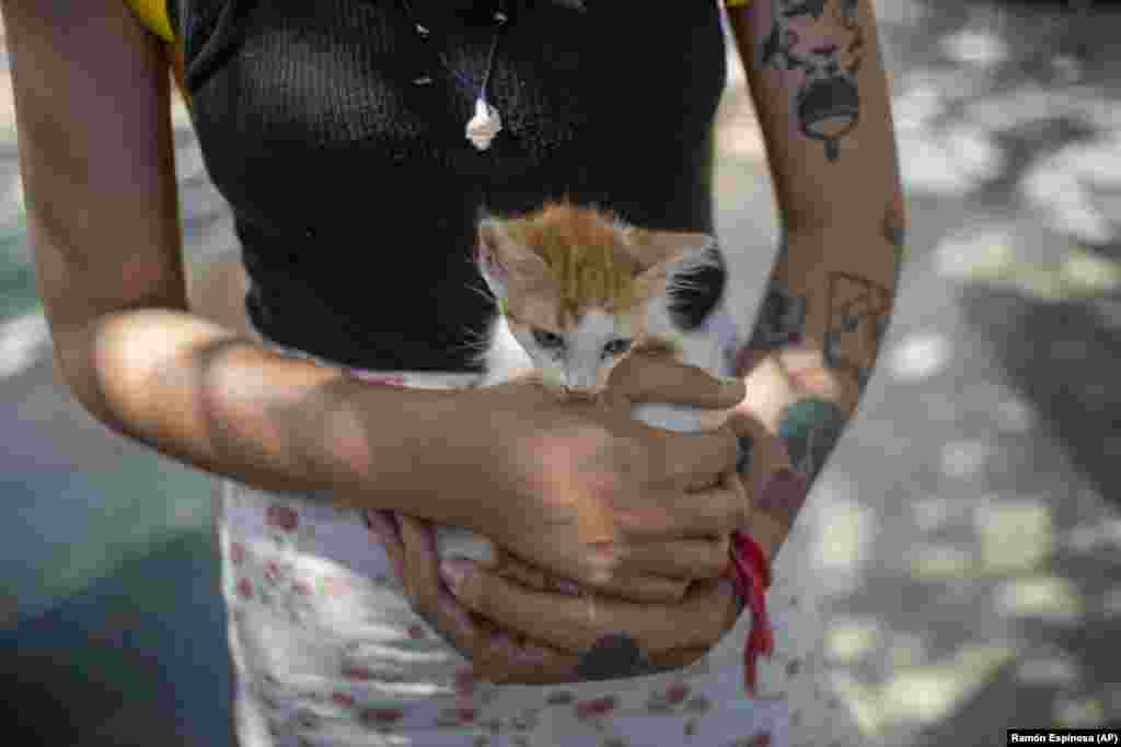 Una chica sostiene su gatito recién adoptado en una feria de adopción en La Habana, Cuba.