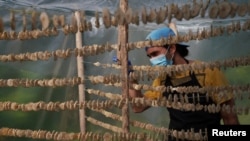 Gabriel Pérez, de 38 años, revisa rodajas de plátano puestas a secar en sus tierras de cultivo en las afueras de La Habana, Cuba, el 22 de noviembre de 2023. REUTERS/Alexandre Meneghini