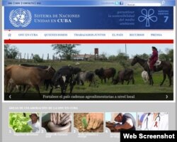 Página web de la ONU en Cuba