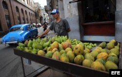 Los vendedores ambulantes de vegetales y frutas ya no recibirán licencia.