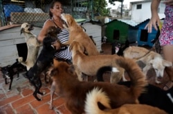 Noris juega con los perros en un refugio privado para animales en La Habana. (YAMIL LAGE / AFP)