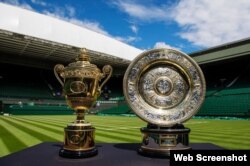 Los trofeos de los finalistas en Wimbledon.