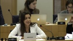 La funcionaria cubana Heidy Villuendas en el Parlamento Europeo