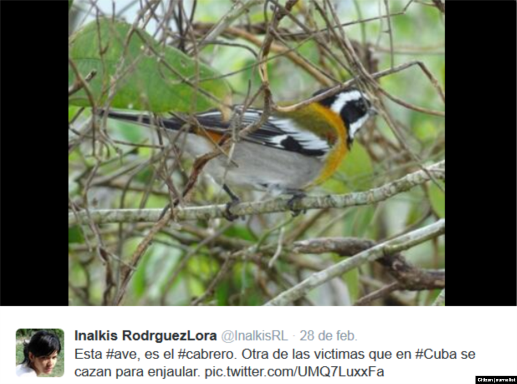 Inalkis Rodríguez en defensa de la naturaleza