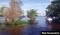 Las inundaciones han provocado crecidas en la Ciénaga de Zapata y poblaciones aledañas