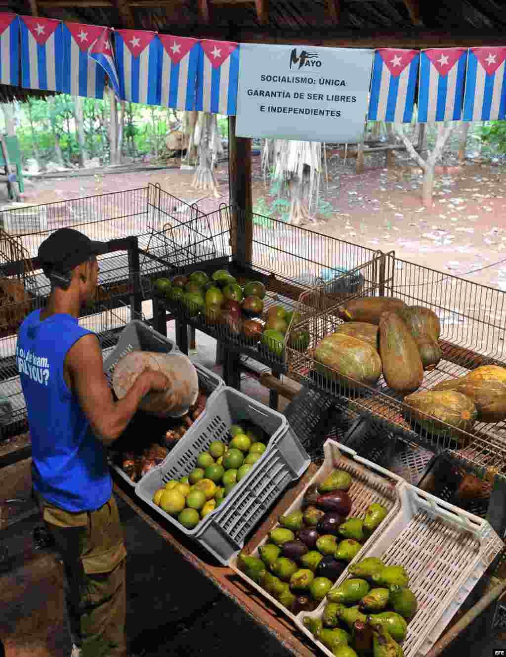 La producci&oacute;n de hortalizas fue de 7,800 miles de toneladas menos, los decrecimientos se localizan en tomate,cebolla, ajo, mel&oacute;n y col. 