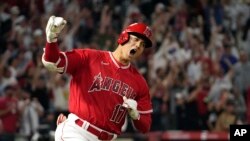 Shohei Ohtani, considerado el "fenómeno japonés" del béisbol. AP Photo/Mark J. Terrill