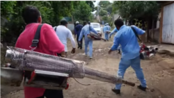 Peligro de proliferación de dengue por falta de medidas sanitarias