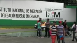 Indetenible migración irregular de cubanos por tierra