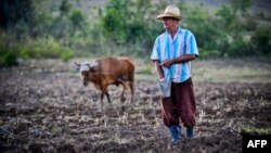 Un campesino de Jiguaní, Granma. Foto tomada en 2018. YAMIL LAGE / AFP