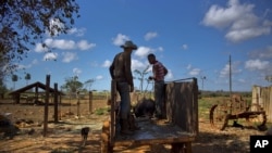 Campesinos cubanos. AP Photo/Ramon Espinosa