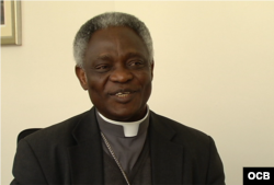 El cardenal Peter Turkson.