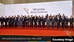 Jefes de delegaciones a la VIII Cumbre de las Américas.