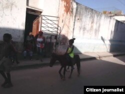 Paseando en poni: la imagen es ahora común en Centro Habana.