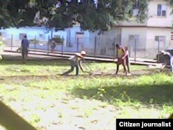 Reporta Cuba. Niños de escuela especial en Holguín trabajan en labores agrícolas. Foto: Ramón Zamora.