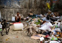 Venezuela. Un hombre y varios perros esperan el camión de la basura para buscar restos de alimentos