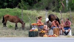 Agricultores cubanos invitan a ministro Marrero a "doblar el lomo" junto a ellos