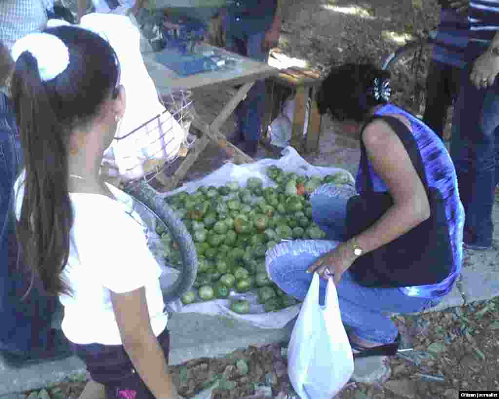 Mercados privados venta población reporte ciudadano de José R Borges