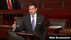 Senador republicano por la Florida Marco Rubio