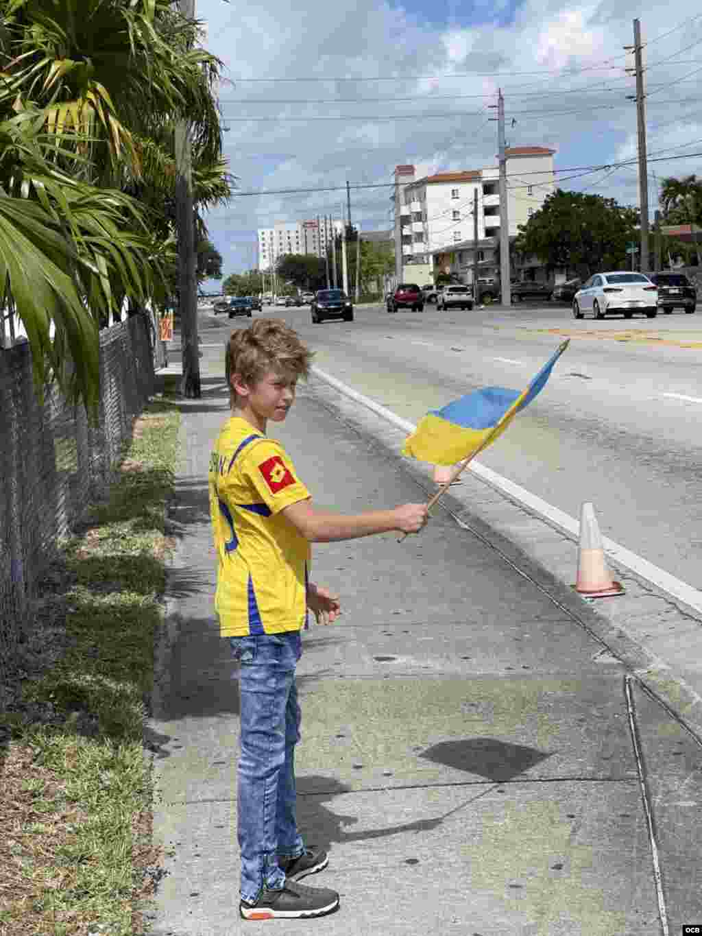 Adolescente ucraniano en la manifestaci&#243;n en apoyo a Ucrania. 