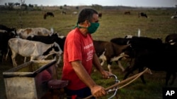 Un campesino se protege del coronavirus con una mascarilla, en la finca Caimito,a las afueras de La Habana. (AP/Ramón Espinosa)