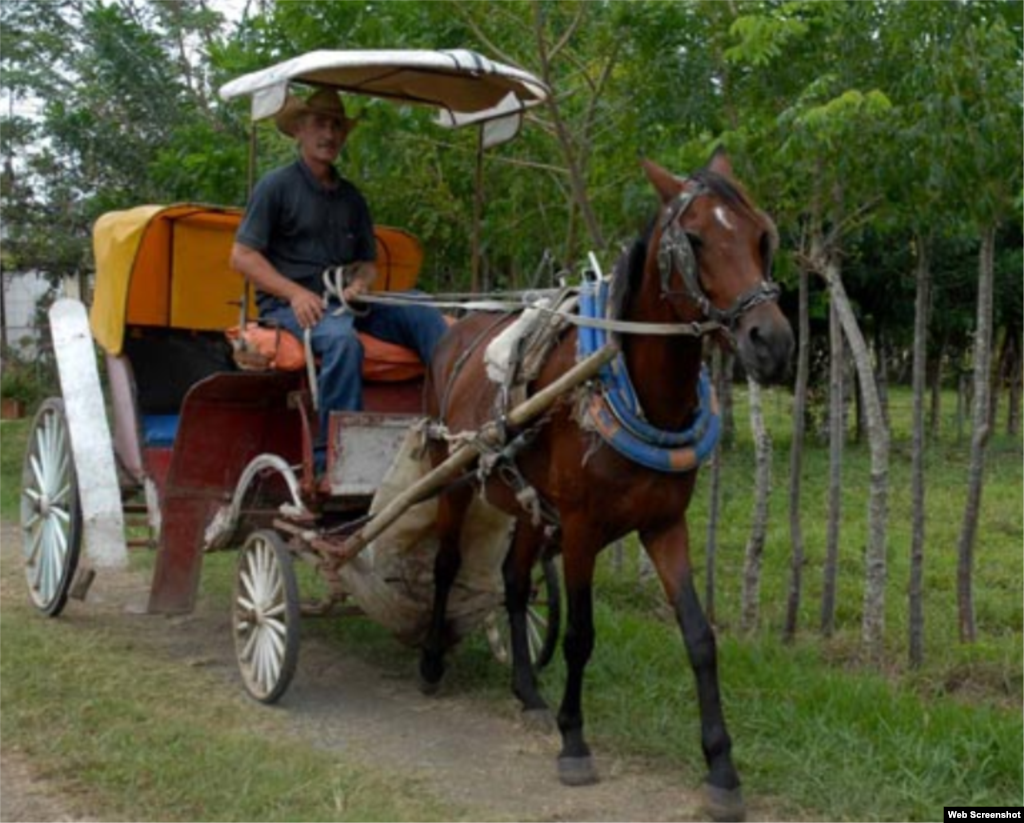 Medios de transporte