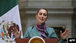 La presidenta de México, Claudia Sheinbaum, habla durante la Cumbre de Alto Nivel entre líderes y empresarios mexicanos y estadounidenses en el Palacio Nacional de la Ciudad de México el 15 de octubre de 2024. (Foto de Yuri CORTEZ / AFP)
