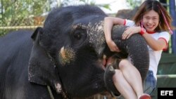 La turista y el elefante.