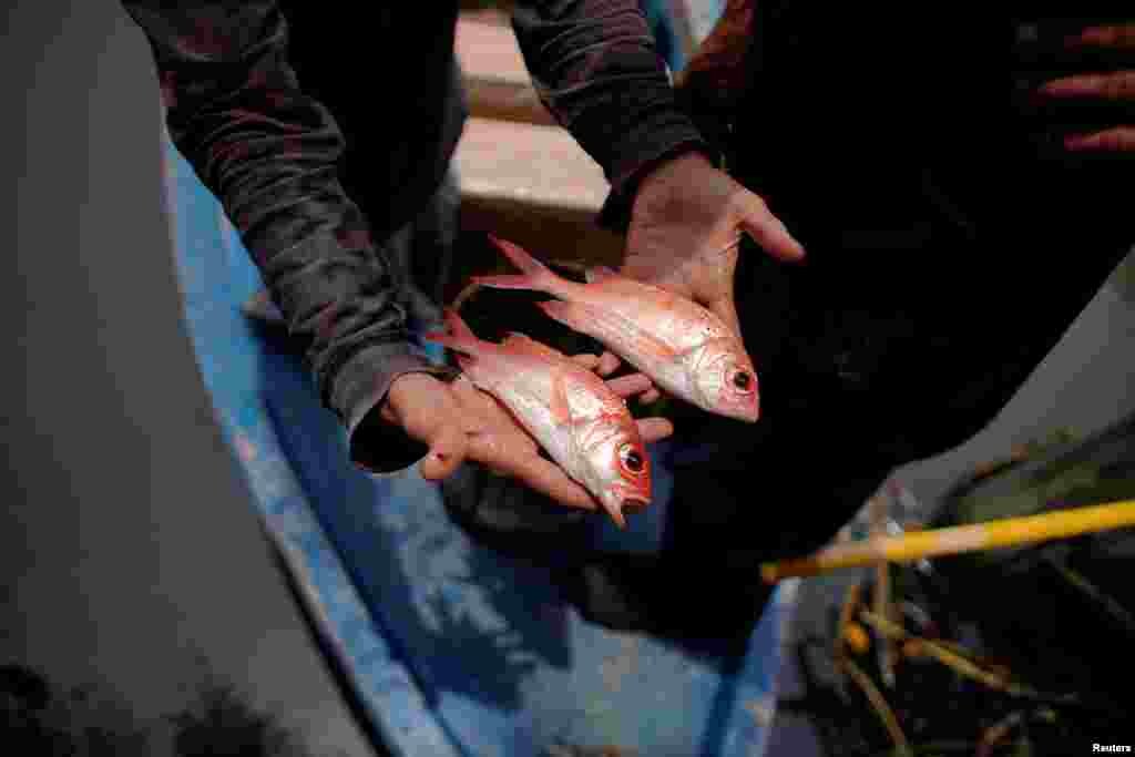 Los cubanos consumen un cuarto de los alimentos marinos que com&#237;an a fines de la d&#233;cada de 1980, seg&#250;n datos oficiales, y s&#243;lo una fracci&#243;n del promedio global de consumo de pescado per c&#225;pita, lo que los ha llevado a bromear con que son una isla sin pece