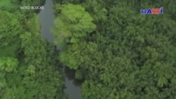 Cubanos emigrantes se aventuran a pasar por la arriesgada Selva del Darién para salvarse